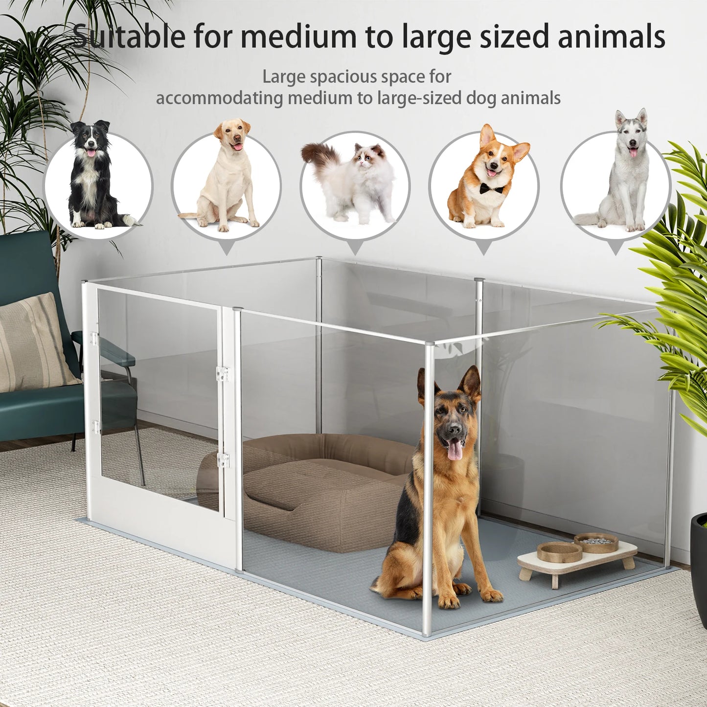 Clear Whelping Box with Pad – BingoPaw Acrylic Indoor Playpen
