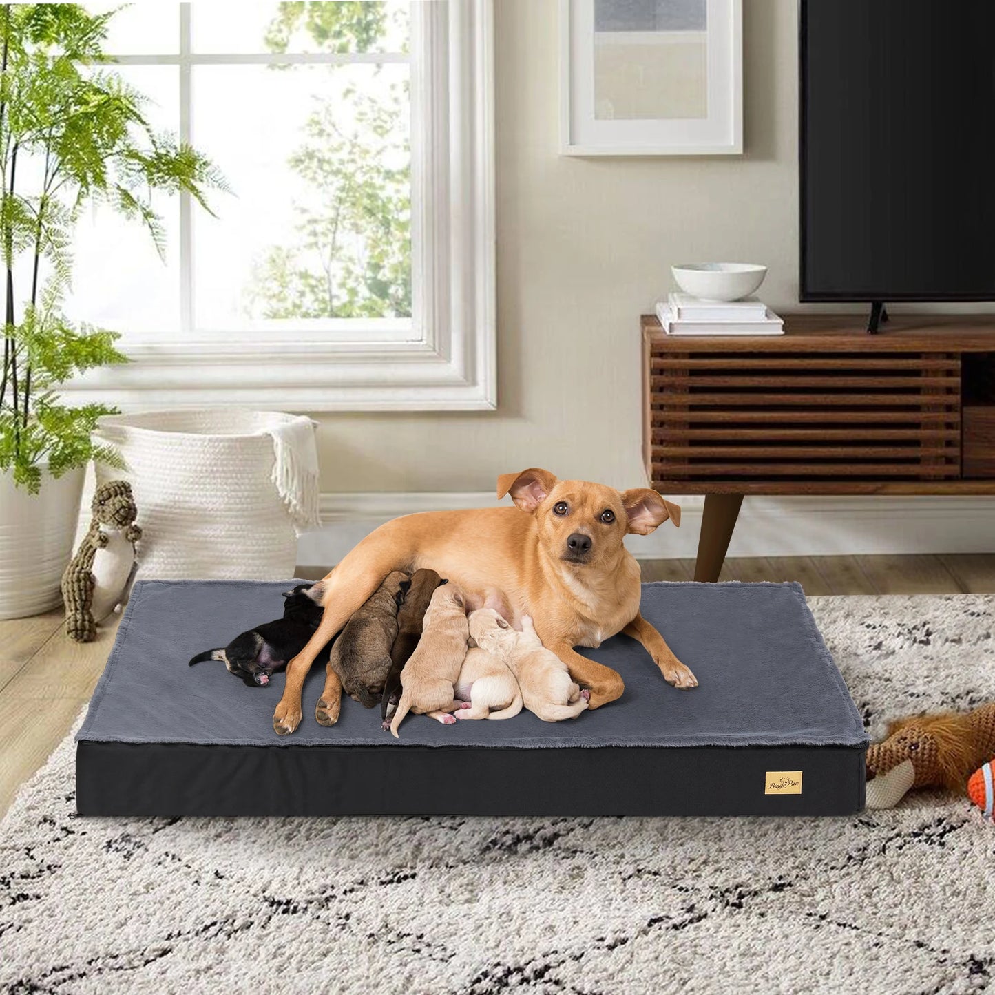 Orthopedic Dog Bed – Waterproof Liner, Washable Cover & Non-Slip Bottom