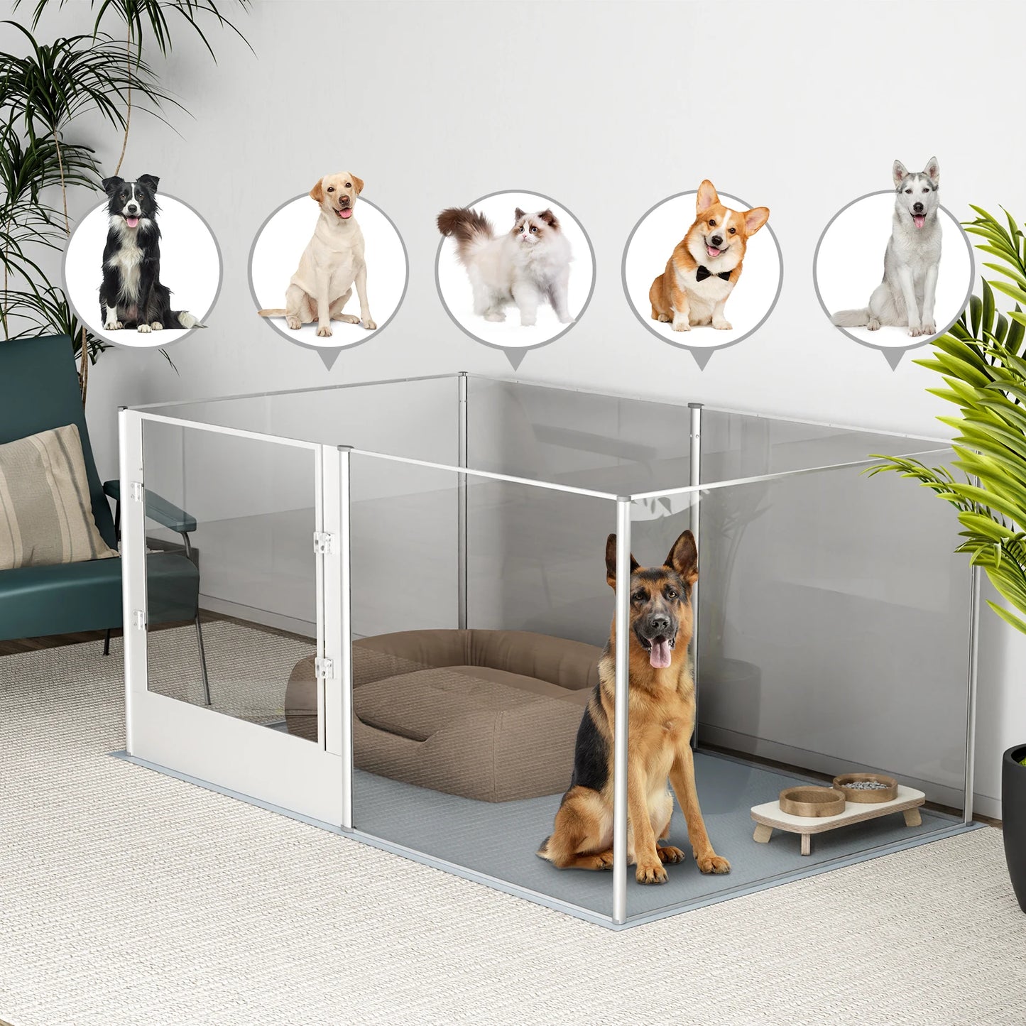 Clear Whelping Box with Pad – BingoPaw Acrylic Indoor Playpen