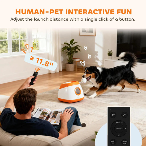 Automatic Dog Ball Launcher(No Shipments On Weekends)