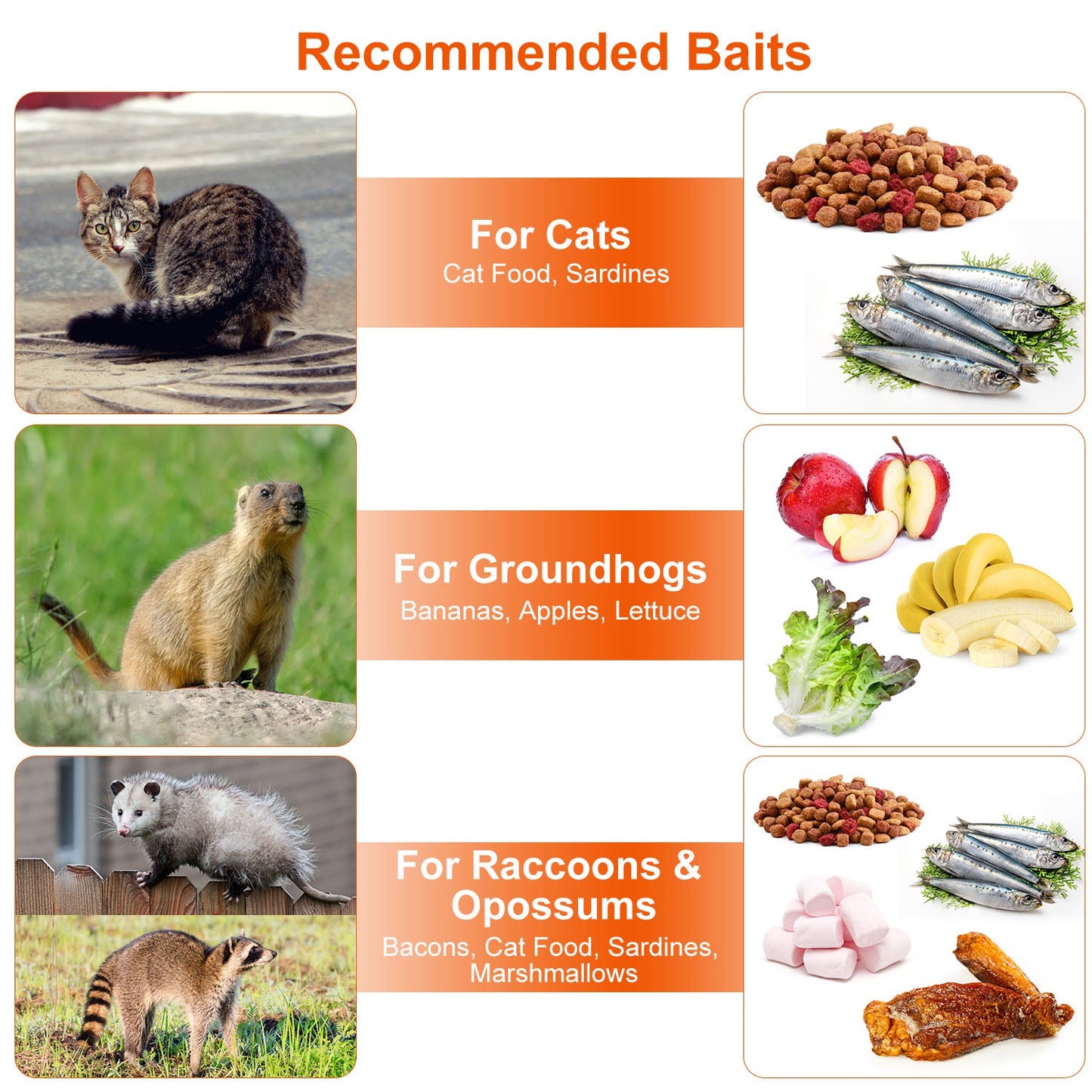 1Pc Humane Cat Trap Cage Catch Release Live Animal Rodent Cage Collapsible Galvanized Wire For Small Raccoons Beavers Groundhogs Foxes Armadillos