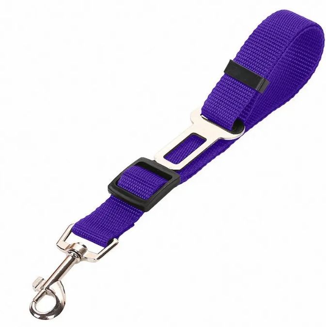 Seat Belts Dogs Car