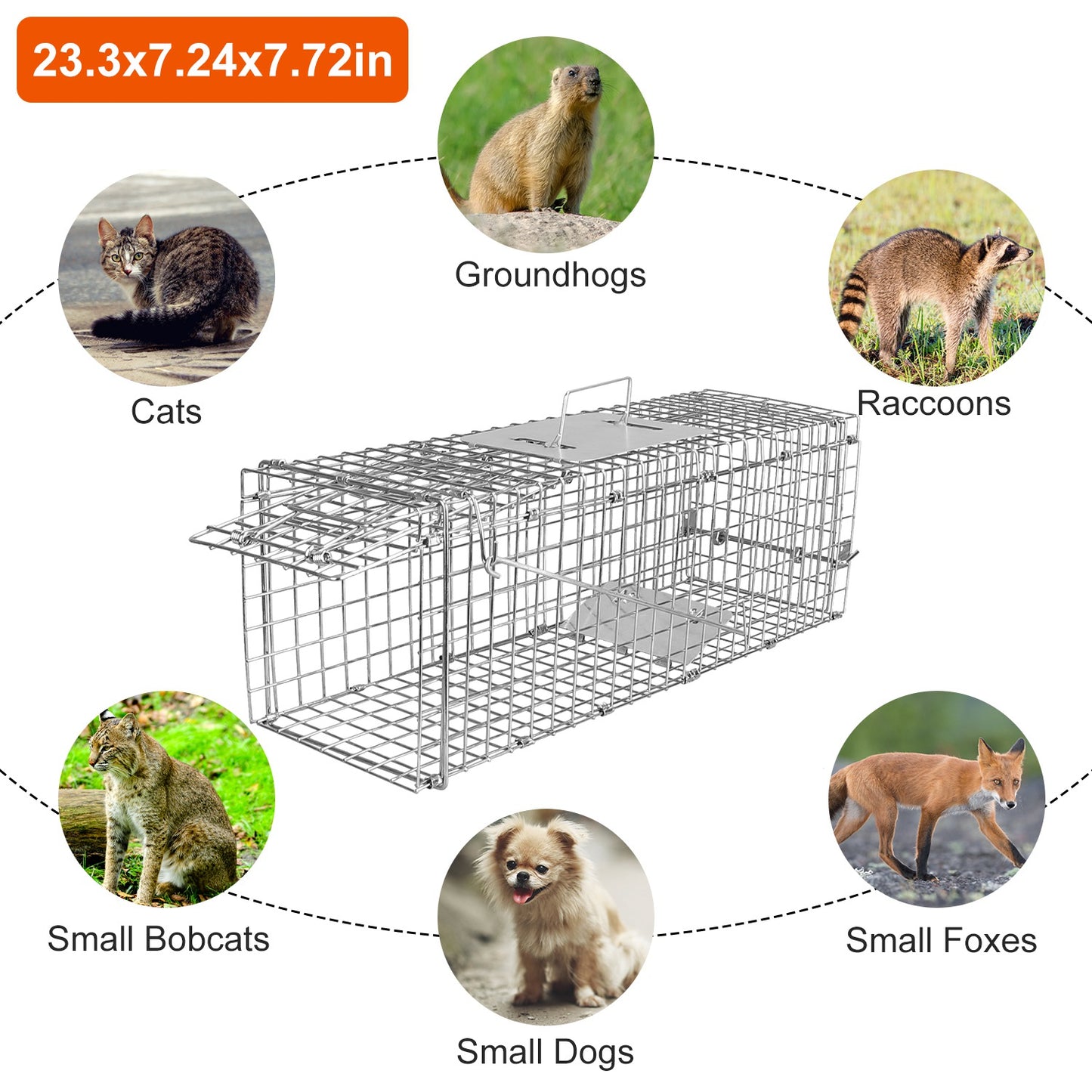 1Pc Humane Cat Trap Cage Catch Release Live Animal Rodent Cage Collapsible Galvanized Wire For Small Raccoons Beavers Groundhogs Foxes Armadillos