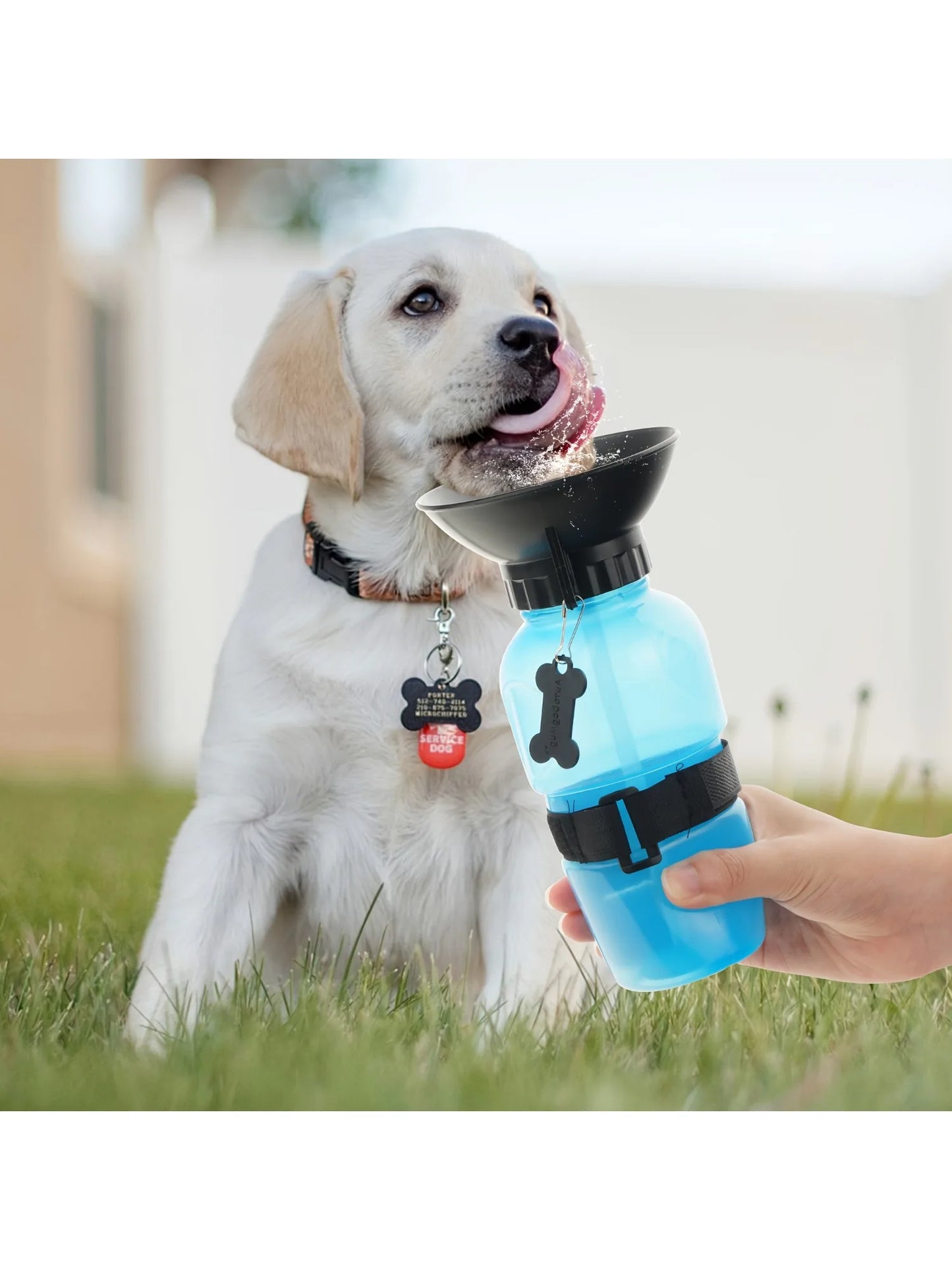 Portable Dog Water Bottle – Travel Pet Water Dispenser with Bowl for Dogs & Cats