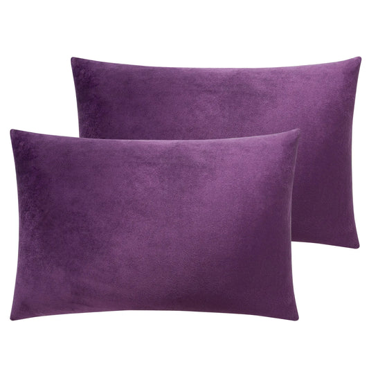 NTBAY 2-Pack Velvet Pillowcases – Soft & Warm Travel Pillow Covers with Hidden Zipper Closure