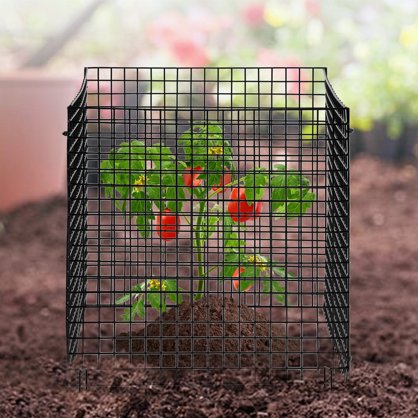 VEVOR 10 Pack Plant Protector From Animals  Plant Cage For Vegetables