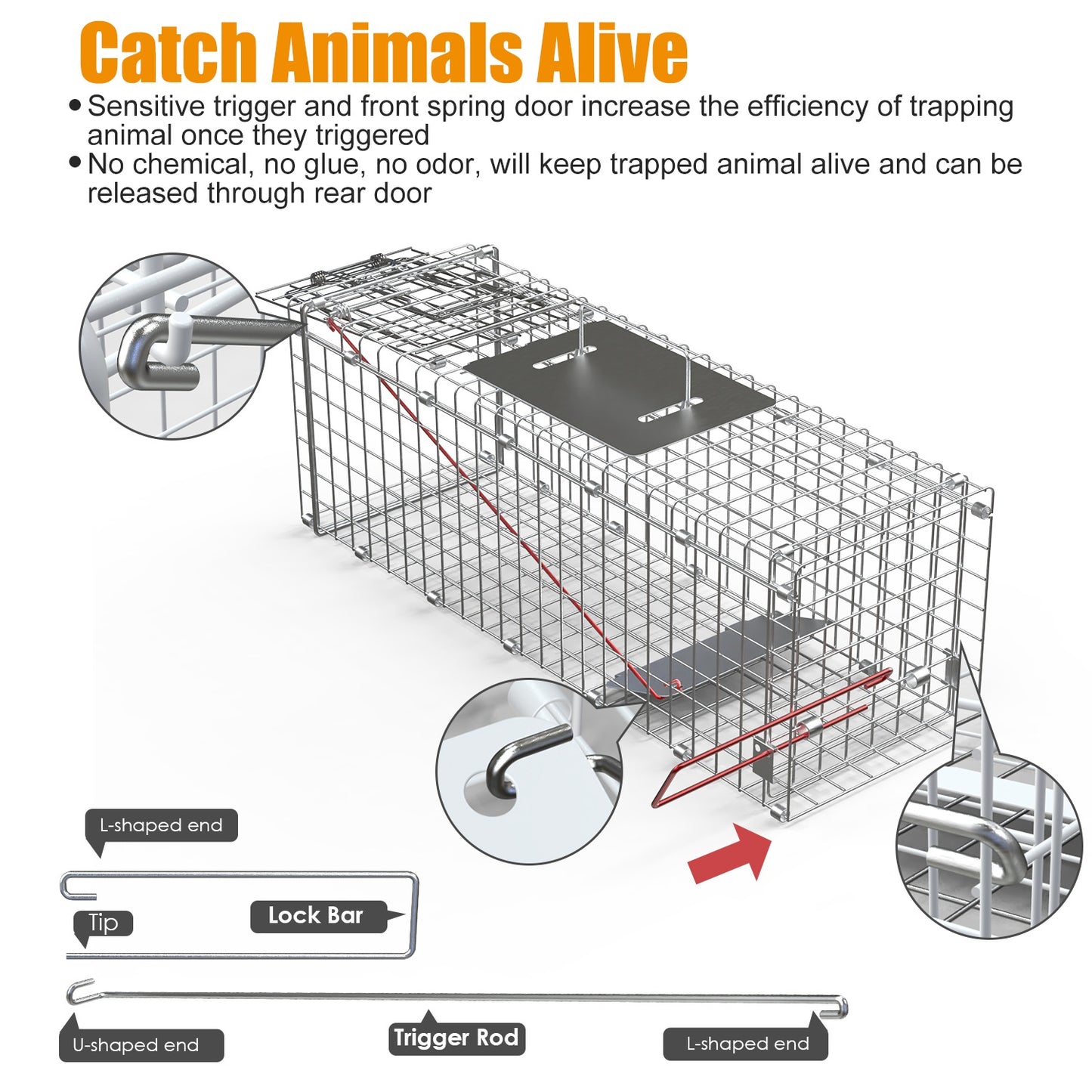1Pc Humane Cat Trap Cage Catch Release Live Animal Rodent Cage Collapsible Galvanized Wire For Small Raccoons Beavers Groundhogs Foxes Armadillos